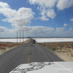 Salzlagunen auf dem Weg zur Bahia Asuncion