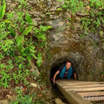 Cenotes von Cuzama