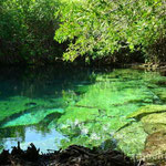 Cenote in Xcacel