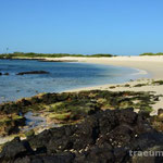 Impressionen von der Playa de las Bachas (Isla Sant Cruz)