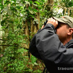 Tierbeobachtung im Regenwald