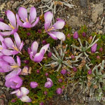 Impressionen aus dem Cotopaxi Nationalpark