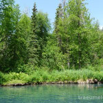 Liard River Hotsprings