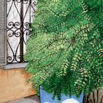 Unsere Ecke,                                                                                    PRIVAT                     PRIVAT