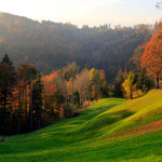 Zürcher Oberland