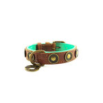 DWAM Urban Hundehalsband