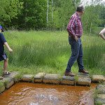 Soos - Naturschutzgebiet bei Franzensbad (Westböhmen)