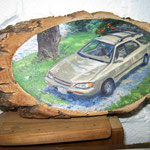 Oil on Willow Branch cross Section
