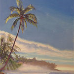 Costa Rica Dawn Palm by the Pacific