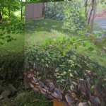 Drainage Culvert in Situ
