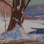 Bright Snow River Tree