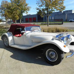 Panther Westwinds Jaguar 4.2. Body off gerestaureerd: 85000 €