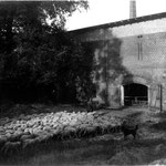 Gutshof Haselberg Schafstall