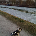 Der Wesel-Dattel-Kanal ist zugefroren...