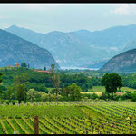 Franciacorta