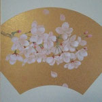 「桜」　色紙