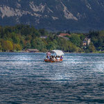 Lac de Bled (A.Pascal)