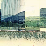 untitled #1 (from the series "Grass Diaries"), 2013