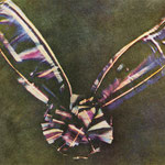 NOMBRE DE LA IMAGEN: Tartan Ribbon. AUTOR: James Clerk Maxwell. AÑO: 1861.