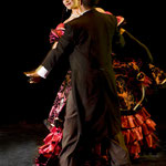 Fotografía Eduardo Rioja ® Bailes Regionales.