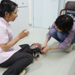 肉球マッサージをしているところ