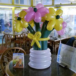 Kinderzauberer und Ballonkünstler für Kindergeburtstag Marcelo Bamberger