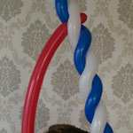 Kinderzauberer und Ballonkünstler für Kindergeburtstag Marcelo Bamberger