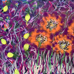 Flores y Limones