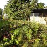Beet im Landgarten