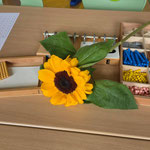 2a Sonnenblumen gestalten