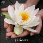 Tarieven