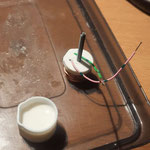 capsule / resine process