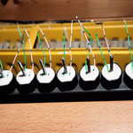 bulding coils