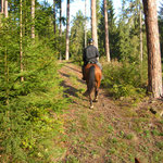 ....auch im Wald