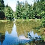 Atemberaubende Landschaft um den Peterbartl-Hof