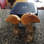 Auch die Rotkappen schmecken sehr lecker