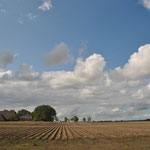 Aardappelveld bij Rottum