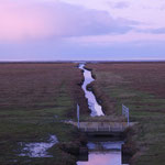 Polder ten westen van Noordpolderzijl