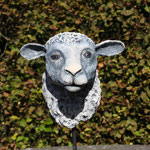 Schaap     (2025)