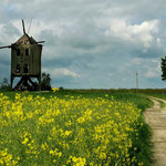 Mrowino (woj. wielkopolskie)