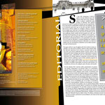 Diseño revista Efecto. 2010