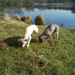 Seespaziergang März 2012