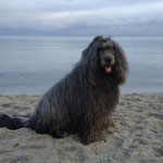 November 2013 - Ostsee