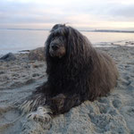November 2013 - Ostsee