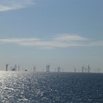 Unterwegs gibt es viel zu schauen - hier ein riesiger Offshore-Windpark