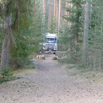 Unser einsamer Waldparkplatz irgendwo im Nirgendwo