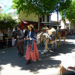 Am Pfingstmontag wird in St.-Rémy-de-Provence traditionell...