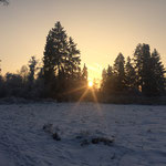 Abendstimmung am Wackelwald am Federsee