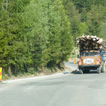 Holztransporter unterwegs auf der Passstrasse