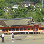 Der Shinto-Schrein Itsukushima-jinja. Bei Flut scheint auch er zu schwimmen